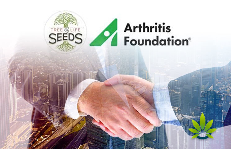 Arthritis Foundation and Tree of Life Seeds, a Maker of Hemp CBD Products, Partner