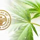 Bureau of Cannabis Control Announces Cannabis Meeting in Burlingame