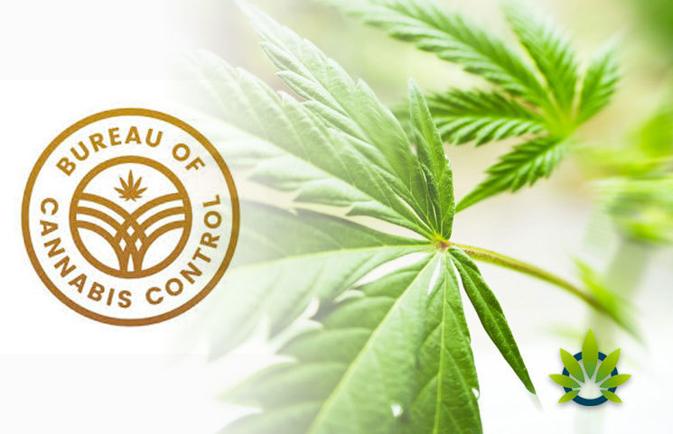 Bureau of Cannabis Control Announces Cannabis Meeting in Burlingame
