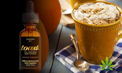 CBD Company (Toast) Debuts Its First Anti-Stress Anxiety CBD Oil with Pumpkin Spice Flavor