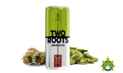 Cannabiniers Debuts a Ready-to-Drink CBD Iced Tea, Just Society