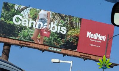 Cannabis Billboard Advertisements May Soon Be Restricted in San Diego