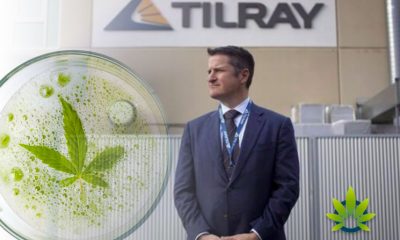 Cannabis-Drinks-on-the-Rise-But-More-Research-is-Needed-Before-Tilray-Inc-Anheuser-Busch-InBev-Launch