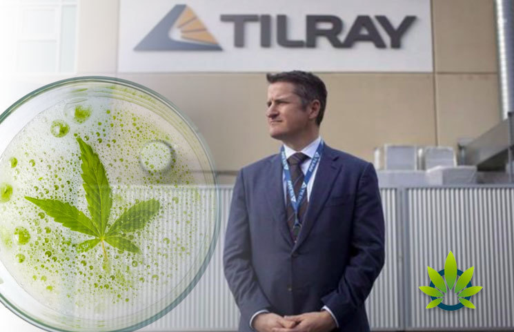 Cannabis-Drinks-on-the-Rise-But-More-Research-is-Needed-Before-Tilray-Inc-Anheuser-Busch-InBev-Launch