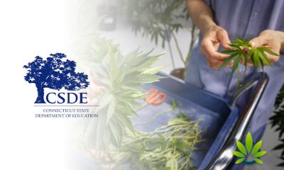Connecticut Board of Physicians Adds Chronic Pain to Qualifying Cannabis Medical Conditions List