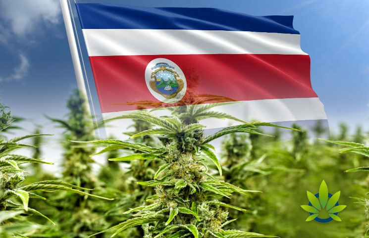 Costa Rican Ministry of Health Issues First CBD Oil Registry