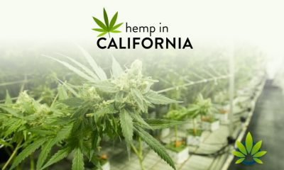Counties and Cities in California Stay Split on Production of Hemp and Marijuana