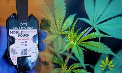 DetectaChem Releases New Field Test Kit to Differentiate CBD and THC