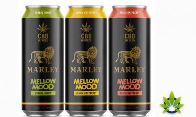 Docklight-to-rollout-promising-CBD-brands