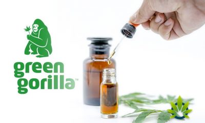 Green Gorilla Debuts Three USDA NOP Certified Full-Spectrum CBD Oils