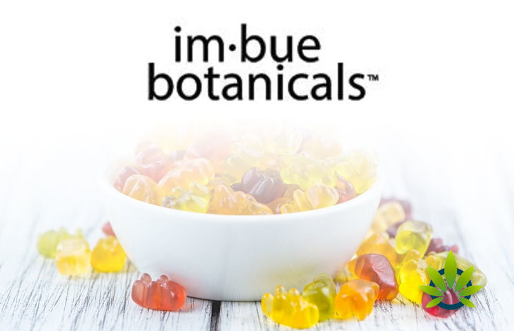 New All-Natural Transcend CBD Gummies by Imbue Botanicals Launches