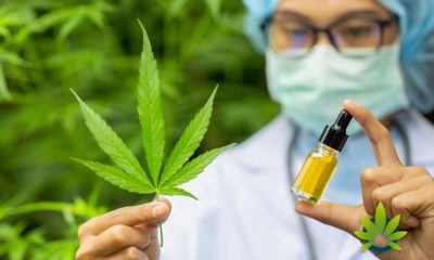 Interest-in-CBD-and-Cannabis-Derivatives-Explodes-Across-the-US-and-UK-Reveals-New-Study