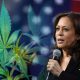Kamala-Harris-Voices-Support-Regarding-Legalizing-Marijuana-Changes