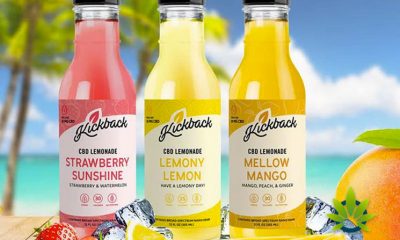 Kickback Officially Releases 3 Low-Sugar Hemp CBD Lemonade Flavors