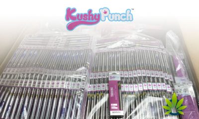 Kushy-Punch-Illegal-Products