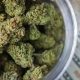 Marijuana-Decriminalization-Bill-Filed-by-Lawmakers-in-Wisconsin