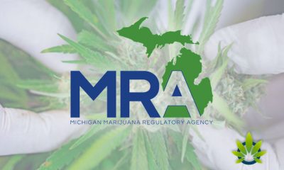 Michigan Regulators Issue Adult-Use Cannabis Business License Details
