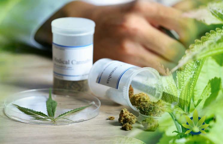Mutiple New Studies: Patients Start Preferring Marijuana Over Prescription Medication