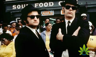 New Blues Brothers Brand Celebrity Cannabis Company to Launch