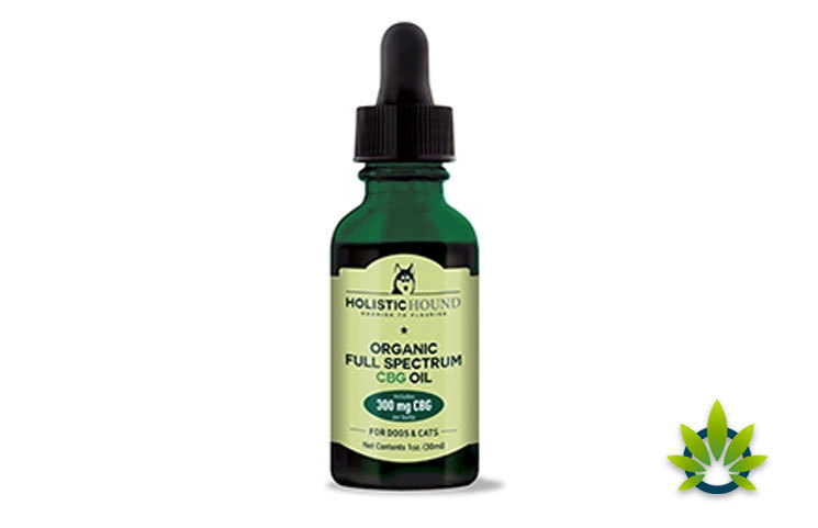 New CBG (Cannabigerol) Product Launched by Holistic Hound for Pets