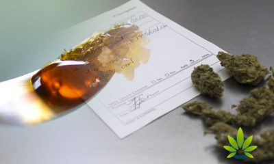 New Study: Post Medical Marijuana Treatment, Many Patients Have Ceased Taking Benzodiazepines