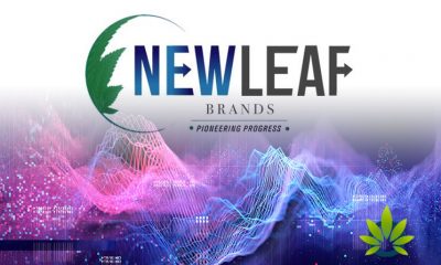 NewLeaf-Brands-Wholly-Owned-Subsidiary-We-Are-Kured-LLC-Announces-100-Plant-Based-CBD-Oil-Formulation