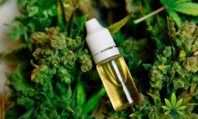 Official-CBD-Oil-Warning-Released-by-State-Officials-in-Mississippi
