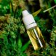 Official-CBD-Oil-Warning-Released-by-State-Officials-in-Mississippi