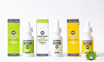 Oprah’s O-List Is All About Pets and CBD Brand Dope Dog Made the List
