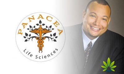 Panacea-Life-Sciences-CBD-Company-Secures-Former-NFL-Player-as-Ambassador