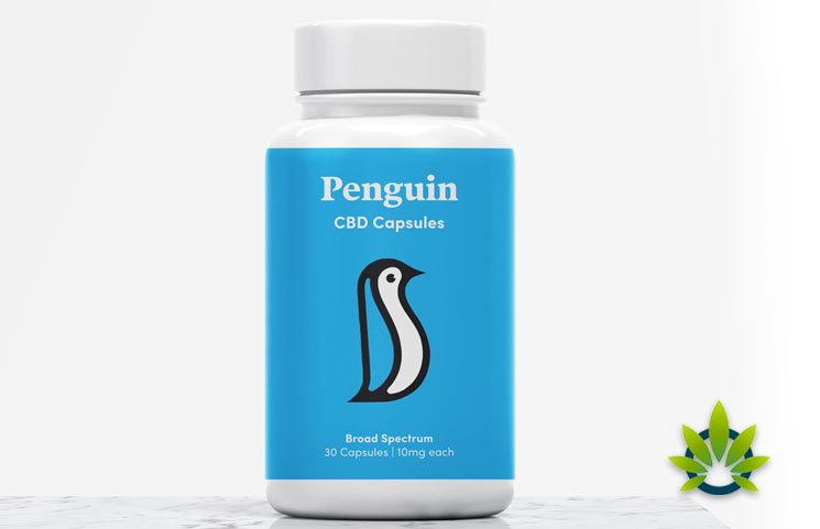 penguin cbd