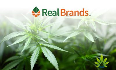 Real-Brands-RLBD-Acquires-Integrative-Medicine-CBD-Formulas