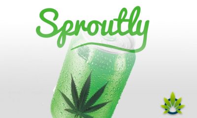 Moosehead, Sproutly to Release New Water-Soluble Cannabis-Infused Beverages