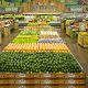 Sprouts Farmers Market Carries Waltz CBD Seltzer in Colorado Locations