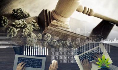Study-Predicts-Significant-Tax-Revenue-from-Cannabis-Legalization