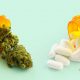 Study-on-Medical-Cannabis-and-Opioid-Reduction