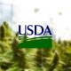 USDA: Consumers Can Expect Hemp Regulations Within the Next Month