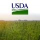 USDA Gives $1 Million Grant to Purdue University for Organic Hemp Production Research