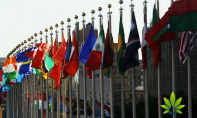 United Nations: ACT Cannabis Legalization Doesn’t Match Up with International Law
