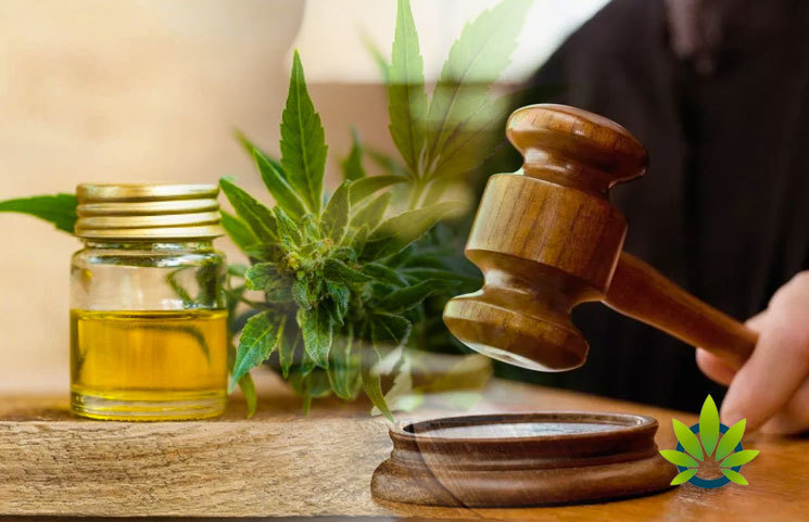 Increase in CBD Class Actions