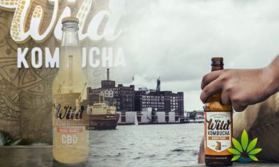 Wild-Kombucha-Debuts-New-Blood-Orange-CBD-Drink-for-Consumers-in-MD-PA-and-DC