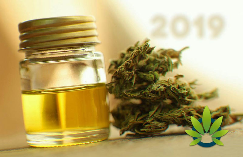 cbd-guide-best-cbd-oil-products-top-cbd-companies