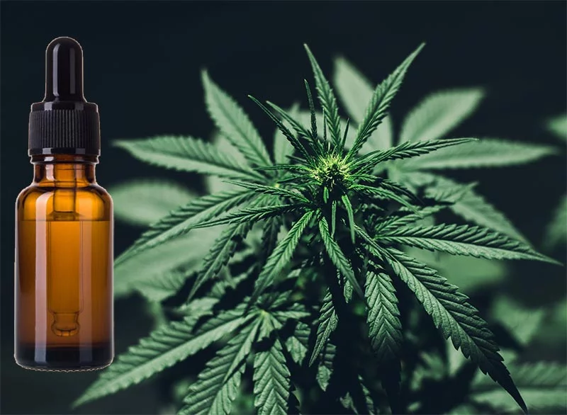 30 loại dầu CBD được xếp hạng cao nhất ở Mỹ 34 cbd-dầu-lợi ích