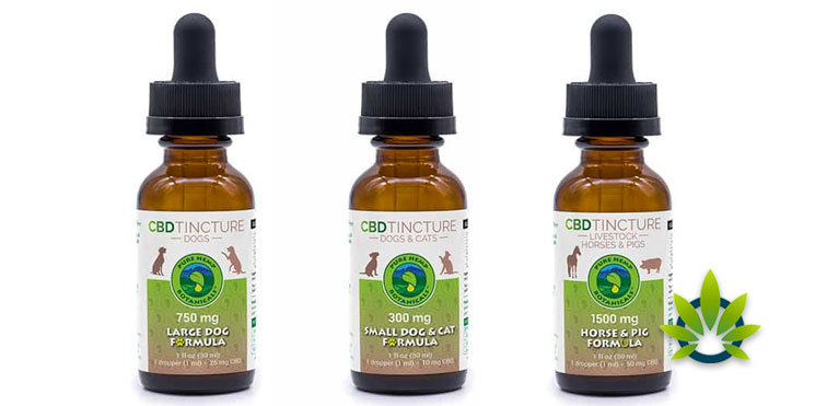 pure hemp botanicals tinctures pets