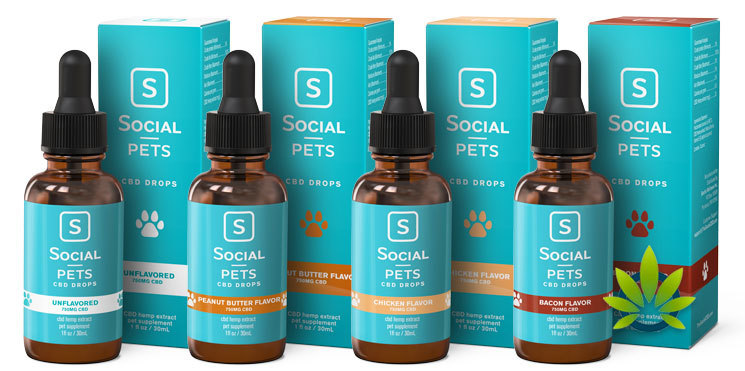 social cbd for pets