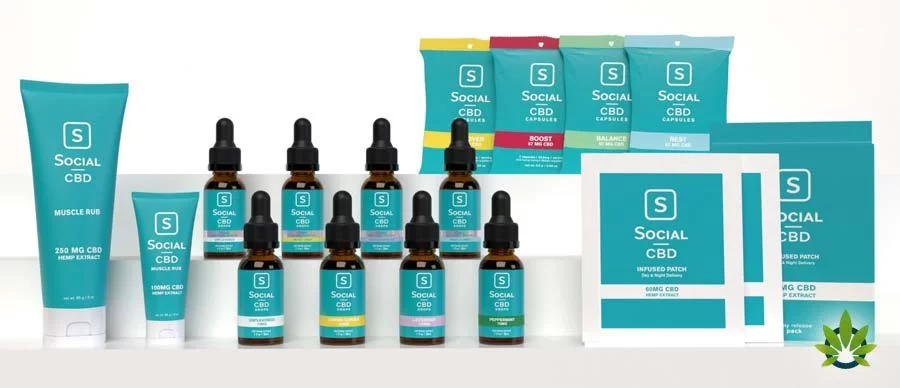 30 loại dầu CBD được xếp hạng cao nhất ở Mỹ 29 30 loại dầu CBD được xếp hạng cao nhất ở Mỹ 28
