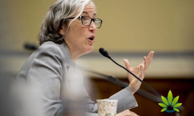 Anne Shuchat of CDC Comments on Vaping and Cannabis Regulations