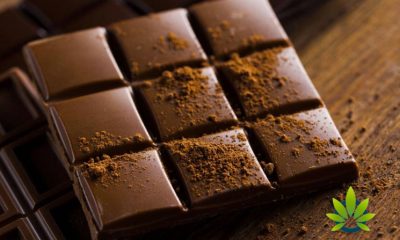 CBD Unlimited and First Foods Group to Debut Hemp CBD-Infused Chocolate Edibles