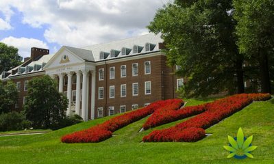 New Cannabis Master's Program at University of Maryland is Now Available