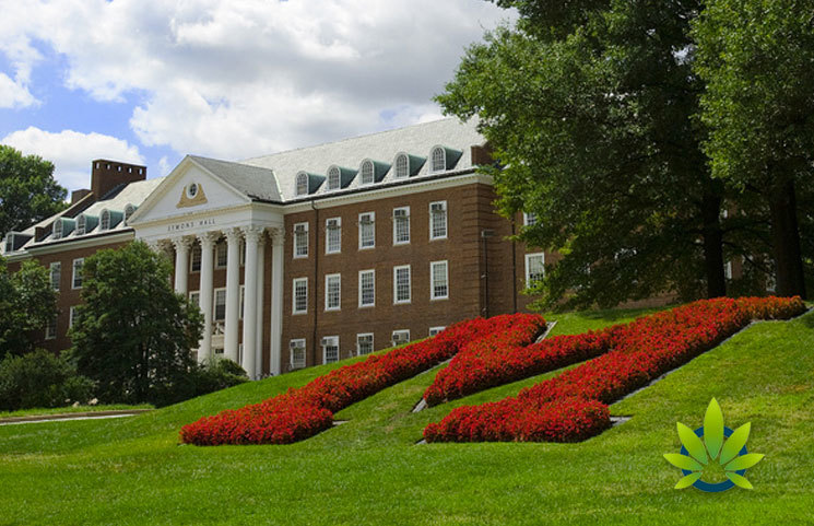 New Cannabis Master's Program at University of Maryland is Now Available